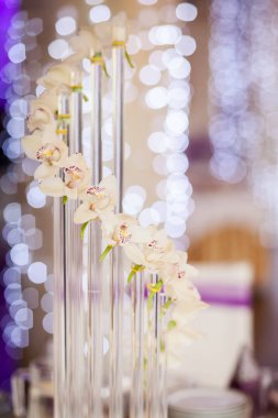 Güzel düğün Resepsiyon Masa dekorasyonu