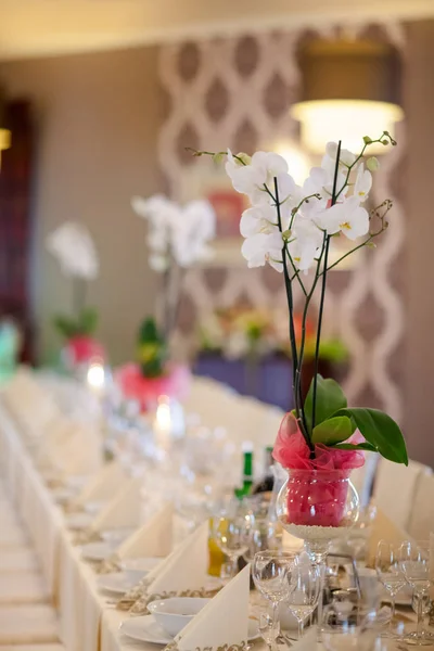 Belle décoration de table de réception de mariage — Photo