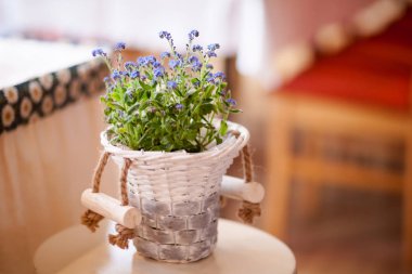 Güzel düğün Resepsiyon Masa dekorasyonu