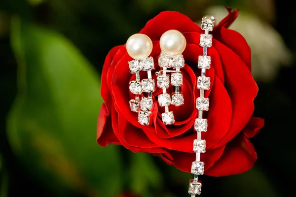 Mooie bruiloft sieraden earings ketting — Stockfoto