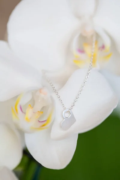 Mooie bruiloft ketting juwelen detail — Stockfoto