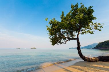 Tropical landscape of Koh Chang clipart