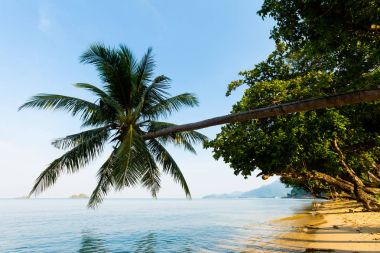 Koh Chang tropikal peyzaj