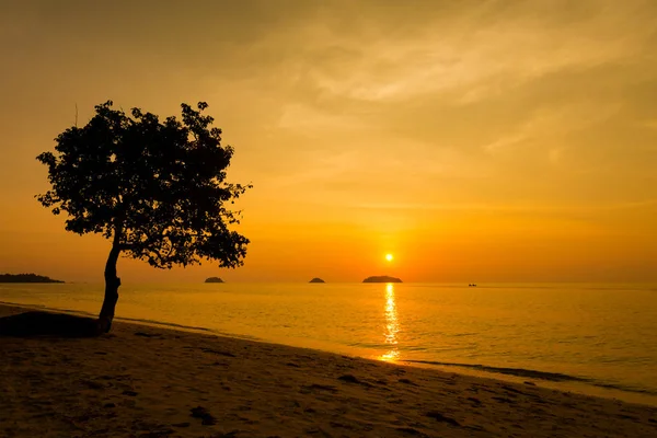 Tropical landscape of Koh Chang — Stock Photo, Image