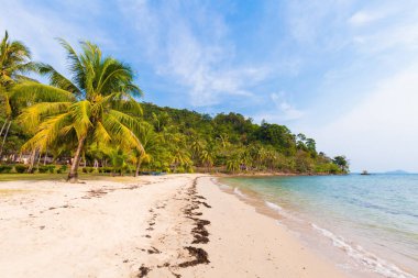 Koh Chang tropikal peyzaj