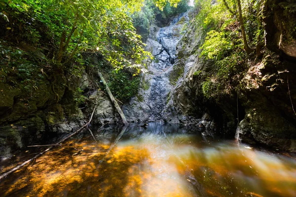 Caminhada na selva em Koh Chang — Fotografia de Stock