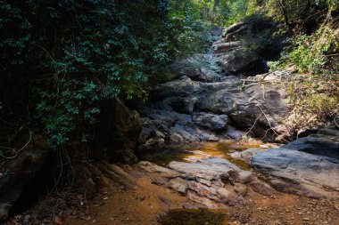Koh Chang Jungle Şelalesi