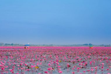 Kırmızı Lotus Gölü Udon Thani