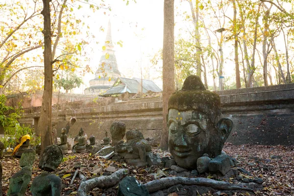 Rzeźby Buddy w Wat Udong — Zdjęcie stockowe