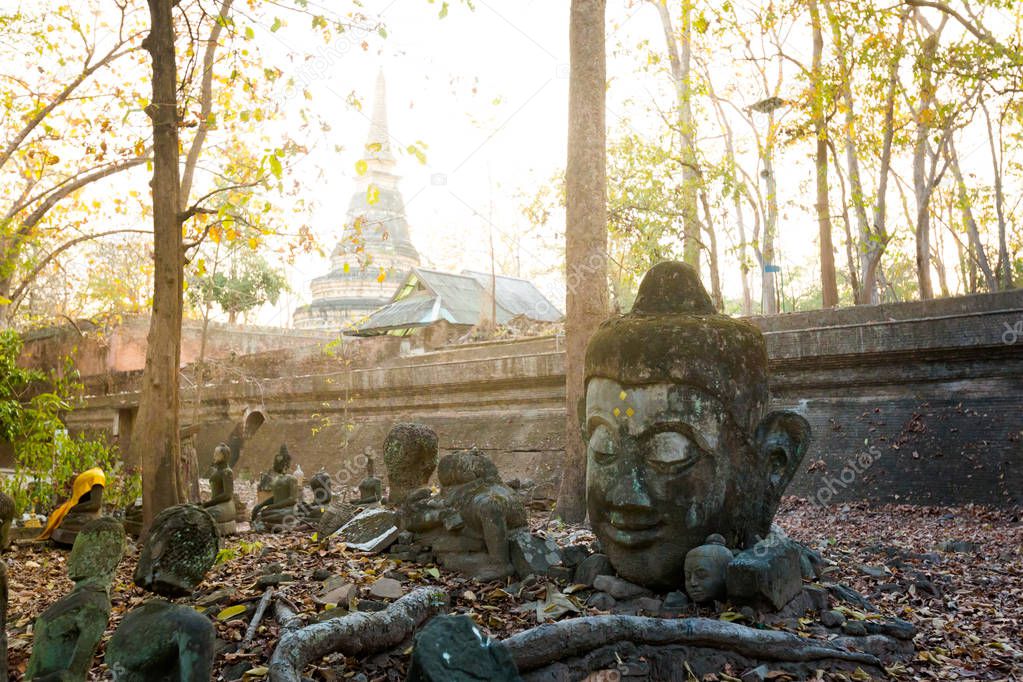 Buddha sculptures in Wat Udong