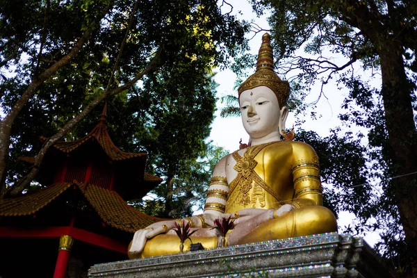 Buddha skulpturer i gamla templet — Stockfoto