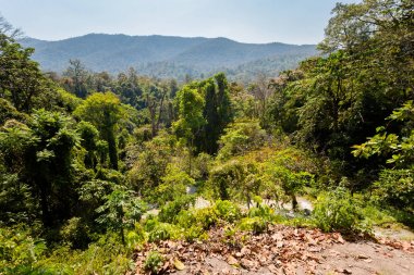 Tayland Sticky şelale cennet