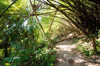 Tayland Sticky şelale cennet