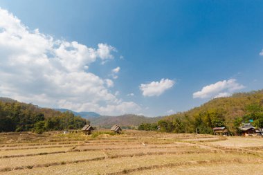 Buda bambu Bridge'de Pai