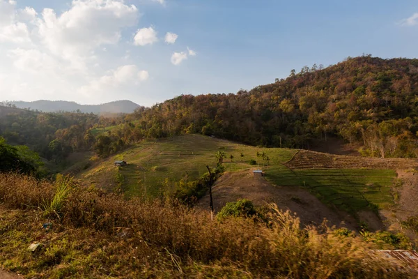 Reisfelder im Dorf Pai — Stockfoto