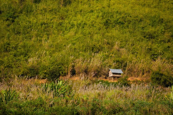 メコン川の中に風景がラオスをクルーズします。 — ストック写真