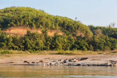 Manzara sırasında Mekong cruise Laos