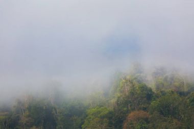 Manzara sırasında Mekong cruise Laos