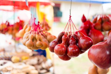 Su kabağı kapasiteler