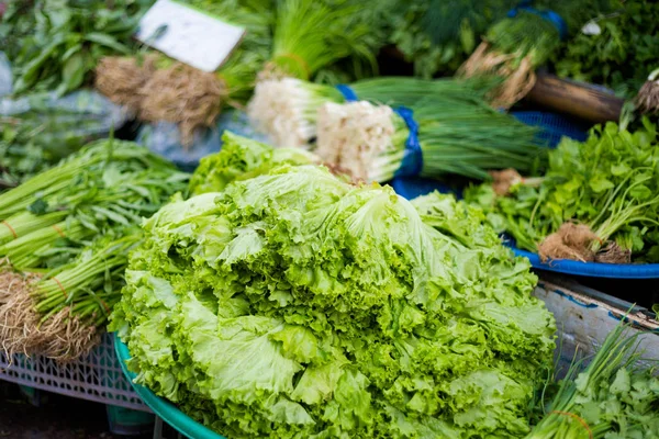 Produtos hortícolas verdes tailandeses no mercado — Fotografia de Stock