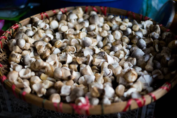 Cogumelos tailandeses frescos no mercado — Fotografia de Stock