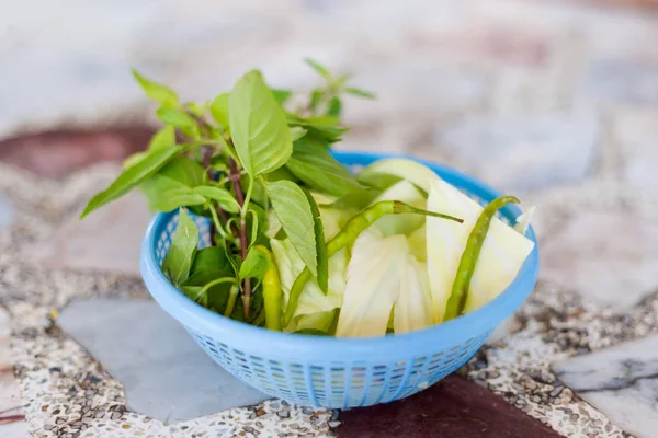 Satu set rempah-rempah dan rempah-rempah — Stok Foto