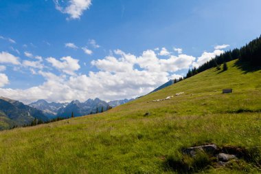 Güzel Tatry Rusinowa Polana manzara