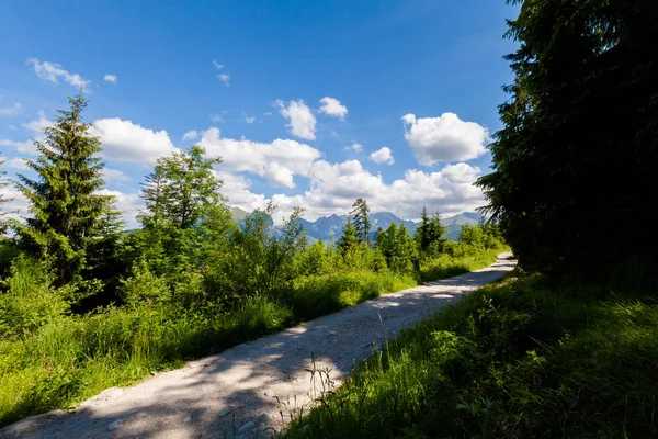 Beautiful Tatry Rusinowa Polana landscape — Stock Photo, Image