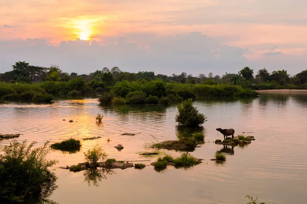 Pôr-do-sol dourado em Don Det — Fotografia de Stock