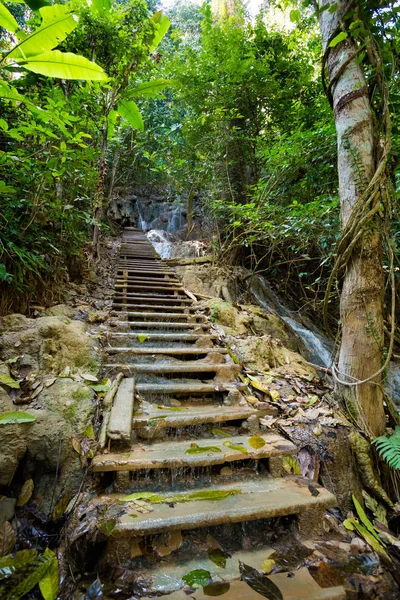 Kuang Si şelale Luang Prabang
