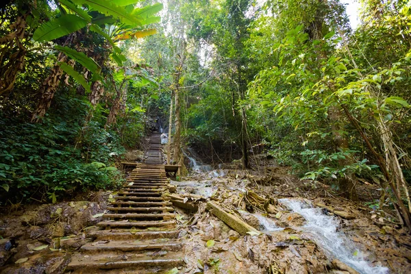 Kuang Si şelale Luang Prabang