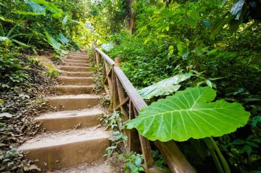 Kuang Si şelale Luang Prabang