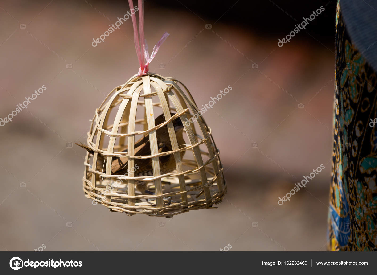 Esclave Des Oiseaux En Cage De Bambou Photographie