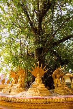 WAT Pha o Luang Vientiane