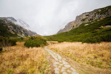 Slovakça Velicka Dolina Tatry dağlara