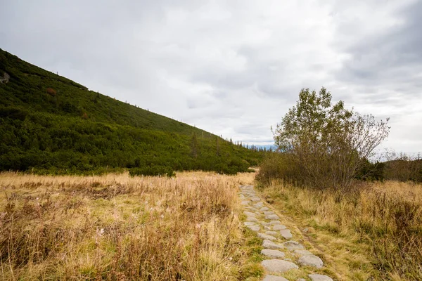 Slovacco Velicka Dolina Tatry montagne — Foto Stock