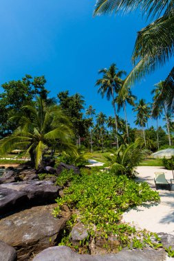 Koh Kood tropikal peyzaj