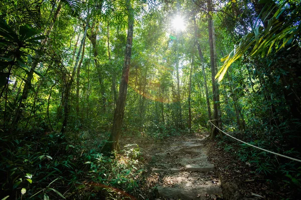 Tropische Landschaft von koh kood — Stockfoto