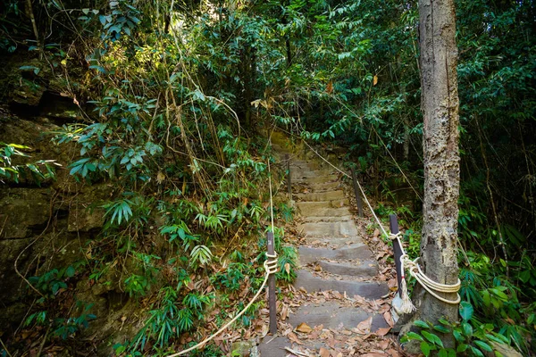 クット島の熱帯の風景 — ストック写真