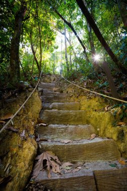 Koh Kood tropikal peyzaj
