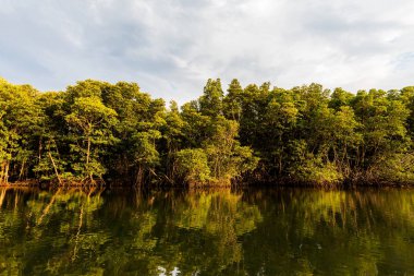 Koh Kood kayık gezisi
