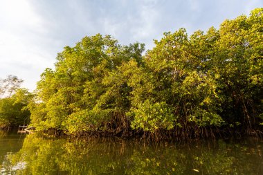 Koh Kood kayık gezisi