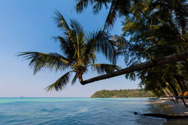 Koh Kood tropikal peyzaj