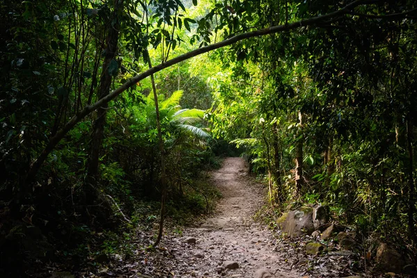 Cascada de la selva en Koh Kood — Foto de Stock