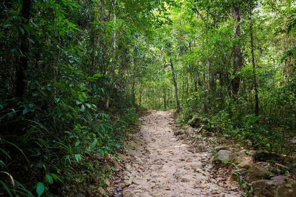 Dschungel Wasserfall auf koh kood — Stockfoto