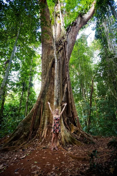 Jungle trekking on Koh Kood — ストック写真