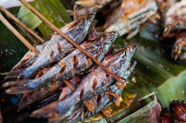 Dumanlı lao balık Barbekü seçimi