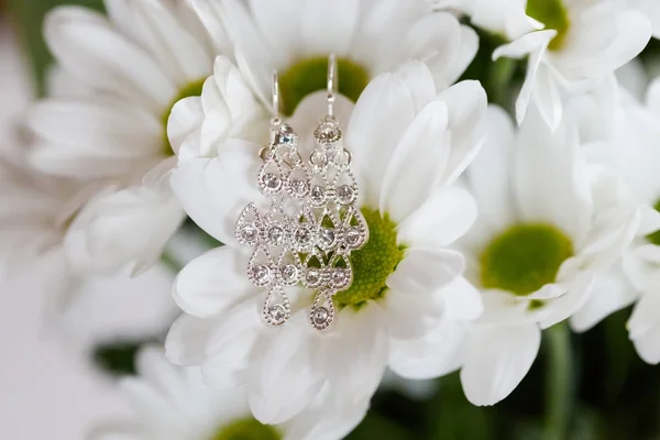 Mooie bruiloft sieraden earings detail — Stockfoto