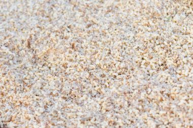 Tay Aperatif sağ kurt