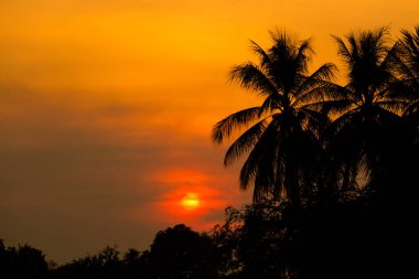 Sunset bulvarında Don Khone Laos